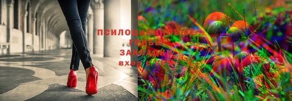 трава Алексин
