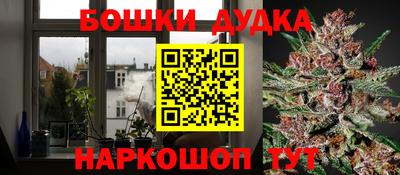 СК Будённовск