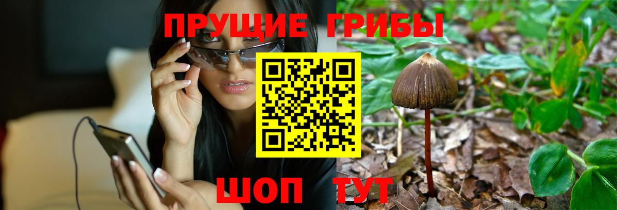 Галлюциногенные грибы прущие грибы  Вход с VPN  где купить наркотик  Галлюциногенные грибы мицелий  Аргун 